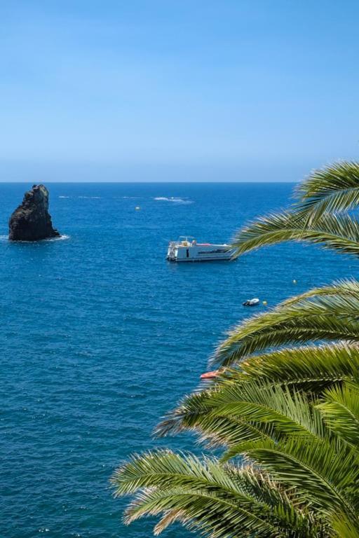 דירות Guestready - A Sunny Delight In Funchal מראה חיצוני תמונה